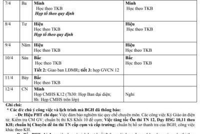 Dự kiến công tác tuần 31